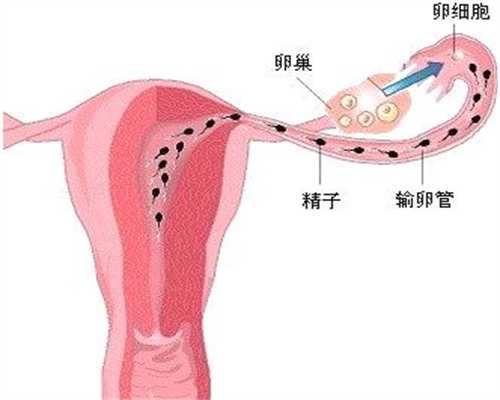 深圳宝贝计划摄像头,孕妈在怀孕期间，这3种食物