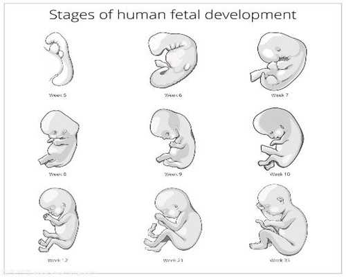 深圳代孕机构那里找_怎样正确开展有益的胎教