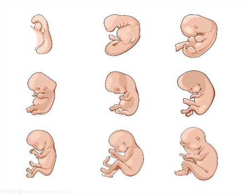 深圳代孕产子的过程和方式_70天宝宝智力发育情