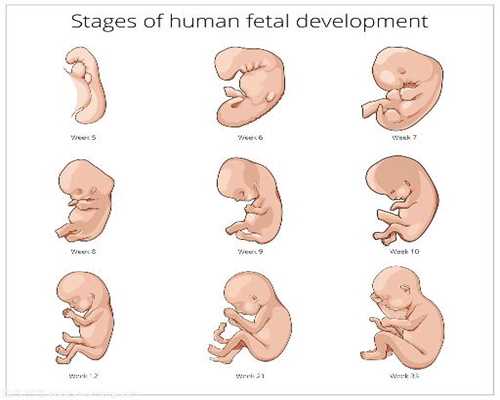 深圳代孕产子的过程和方式_70天宝宝智力发育情