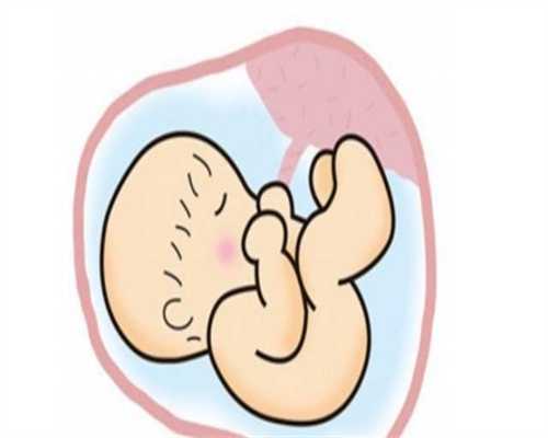 深圳代怀孕网_降低胎儿智力发育的10种食物 孕妈