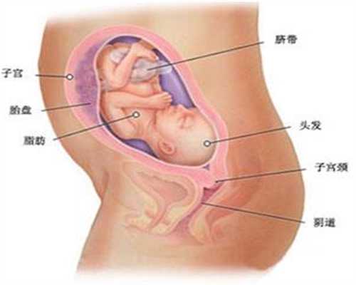 深圳找代孕生小孩要多少钱_给孕2月准妈妈的温馨