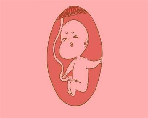 深圳找代孕多少钱_怀孕十个月产检总结