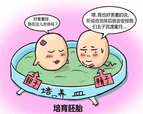 北京代孕的费用_孕妇多吃石榴对肠胃好吗