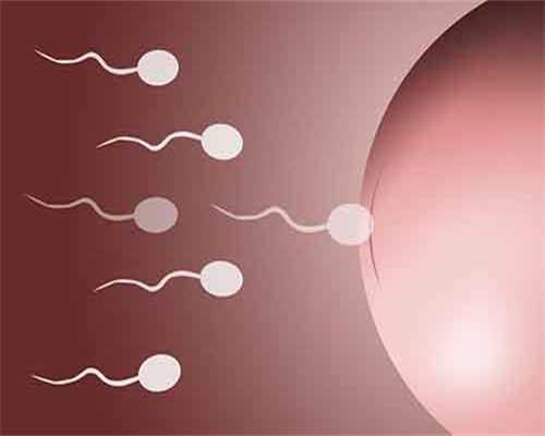 北京中国最好的代孕机构_排卵试纸测到强阳后多久排卵