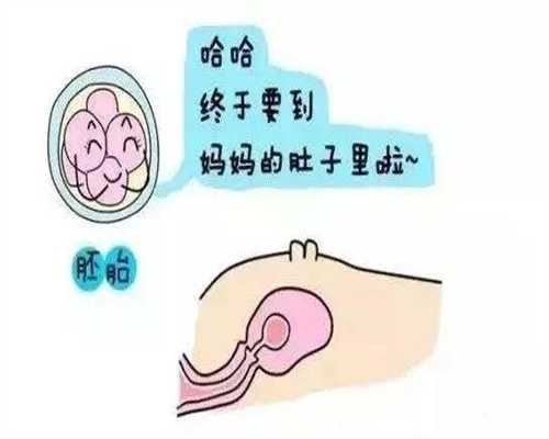 北京找代孕有哪些风险_胎动多的宝宝性格特点是怎样的