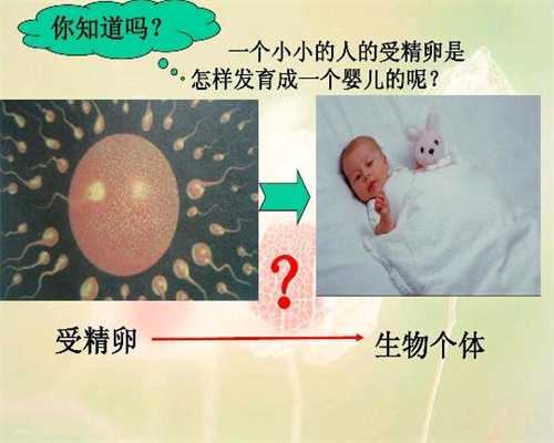 北京专业的代孕网站_试管婴儿打降调的条件