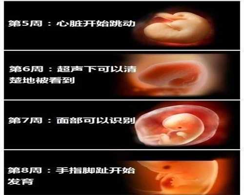 北京代孕哪里最便宜_孕妇可以喝珍珠菜汤吗