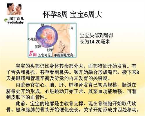 北京找代孕女人电话_怀孕多久会反胃