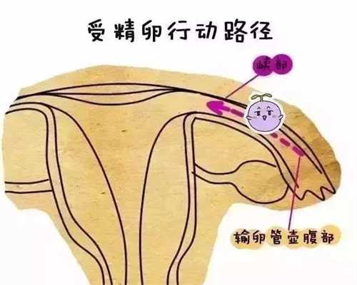 北京助孕和代孕的区别_病从口入  孕妇真的要少吃生冷食物