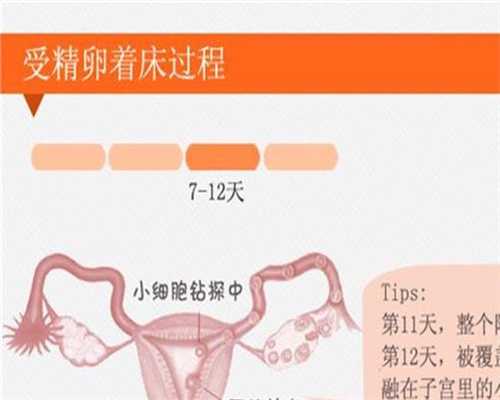 北京2020代孕生子价格_2D, 3D, 和4D超声影像的区别