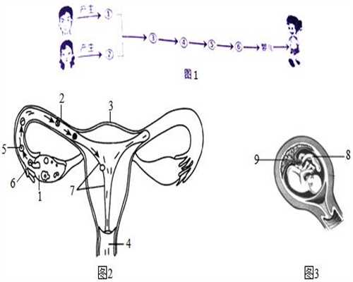 代孕检查项目_哺乳期代孕妈妈，乳房胀痛怎么办
