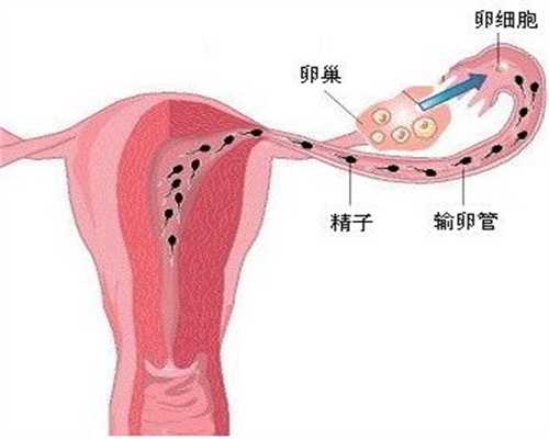 北京5A认证助孕网_​孕妇保健从卧室做起