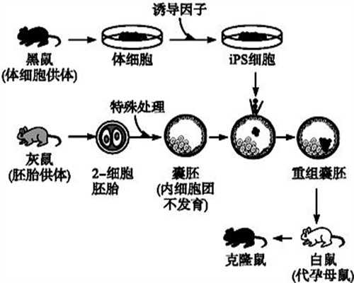 北京代孕产子的流程_如何给宝宝转奶？专家教你正确方法！