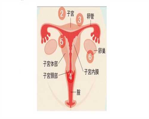 北京代孕手续~北京代孕网站~哪个医院北京做试管好