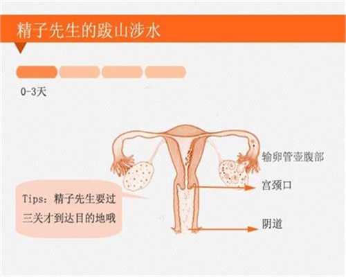 北京代孕套餐`北京人工代孕医院`北京借卵生子长得像谁