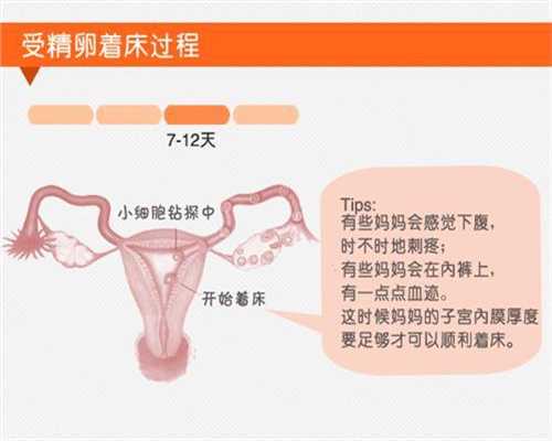 北京代孕婴儿~寻北京代孕大学生~北京找代孕妈妈要到哪里