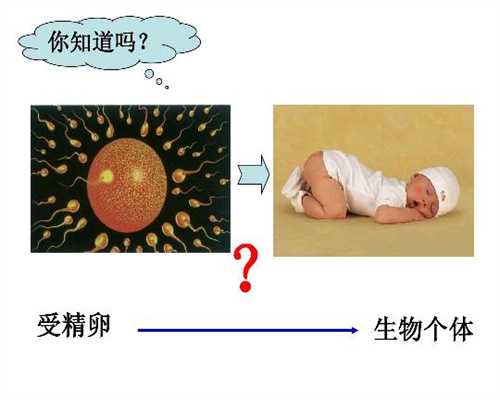 北京50岁还可以代孕吗_哺乳期可以吃麦仁吗