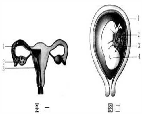 北京二胎代孕`最正规北京代孕机构`北京哪家医院可以代孕