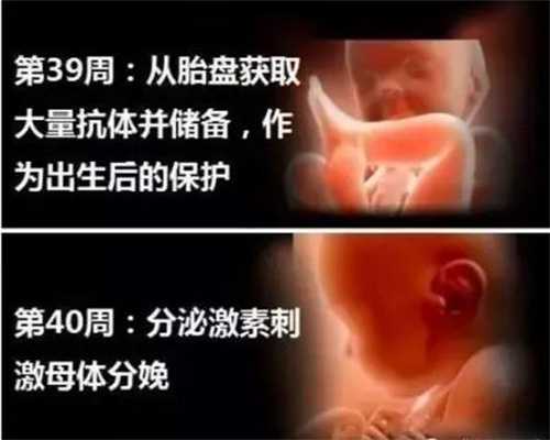 北京专业代孕`北京试管医院排名`北京代孕是自己的孩子吗