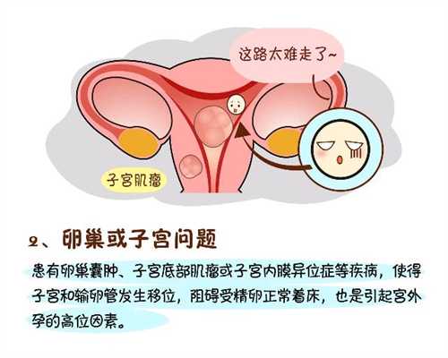 北京二胎代孕-北京供卵代孕机构-北京代孕生宝宝医生咨询