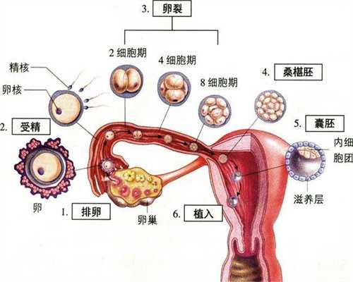 北京代孕好吗-北京代孕集团-北京借腹代孕生子孩子户口问题