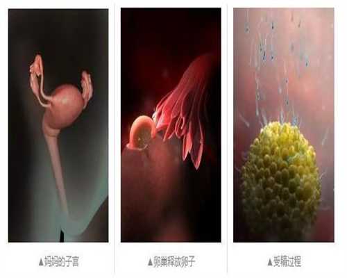 北京代孕中心-为什么去做北京试管-北京供卵试管多少费用