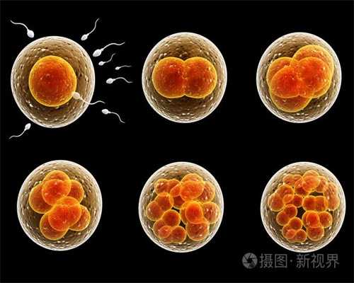 北京代孕网站，北京代孕生孩子过程，宫外孕前期一定会流血吗