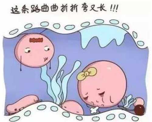 深圳代生双胞胎公司：刚怀孕会尿频么