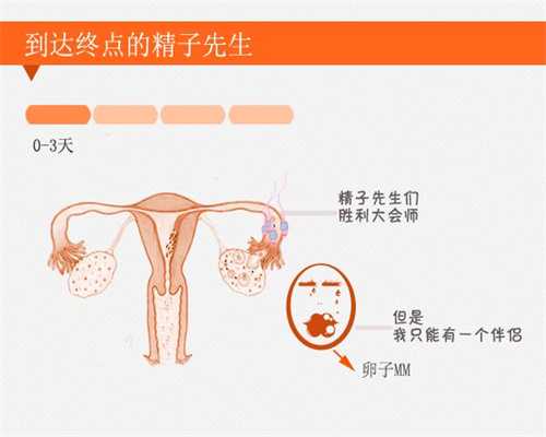 深圳代生宝宝网：什么原因导致胎盘早期脱离