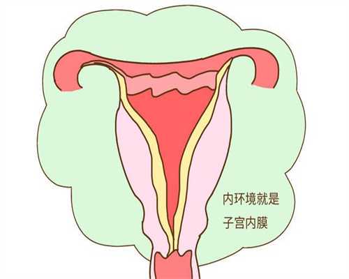深圳助孕中心：代怀孕一共多少钱_2020年代孕价钱